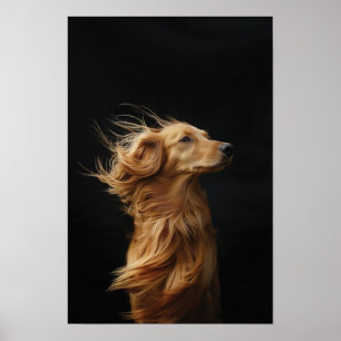 Pet Grooming Salon Boutique Afgan Hound Portrait Poster