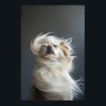 Pet Grooming Salon Boutique Chihuahua Portrait Poster<br><div class="desc">Pet Grooming Salon Boutique Chihuahua Portrait Poster. Perfect decor for your pet care clinic or boutique salon. You can find more various dog breed portraits in our main PET STYLE collection.</div>