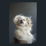 Pet Grooming Salon Boutique Chihuahua Portrait Poster<br><div class="desc">Pet Grooming Salon Boutique Chihuahua Portrait Poster. Perfect decor for your pet care clinic or boutique salon. You can find more various dog breed portraits in our main PET STYLE collection.</div>