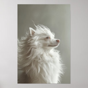 Pet Grooming Salon Boutique Spitz Portrait Poster