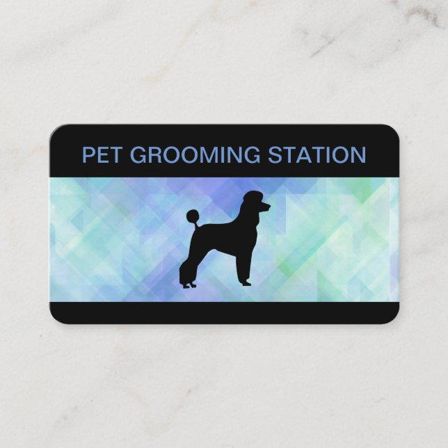 Pet Grooming Services Modern Design Appointment Card (Front)