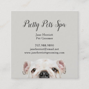 Pet Grooming Square Business Card