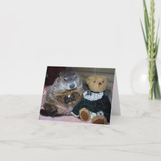 Pet Groundhog Maude with her Teddy Note Card