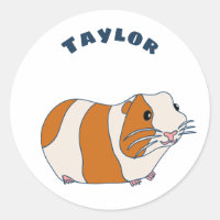 Pet Guinea Pig Illustration Personalised