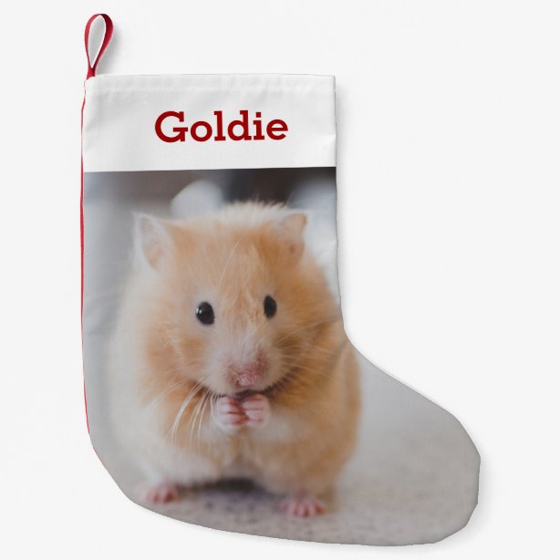 Hamster Gifts & Gift Ideas Zazzle UK