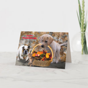 PET HARVEST THANKSGIVING CARD