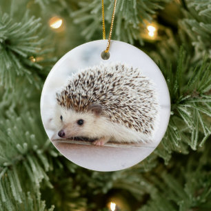 Pet Hedgehog Ceramic Tree Decoration