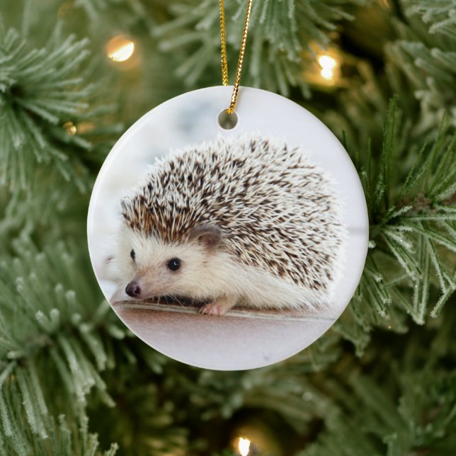 Pet Hedgehog Ceramic Tree Decoration (Tree)