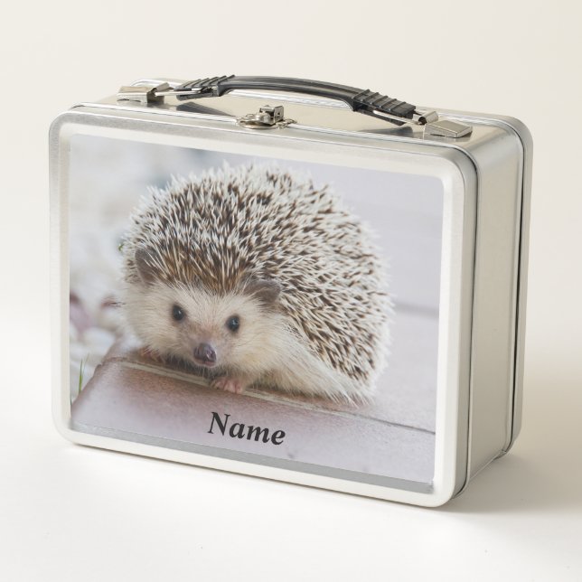 Pet Hedgehog Metal Lunch Box (Front)