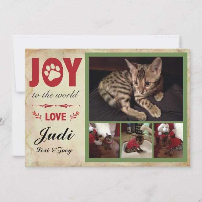 Pet Holiday Card - Christmas Stripes (Front)