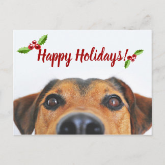 Pet Holiday Photo Postcard