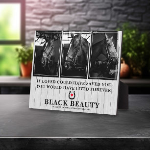 Pet Horse Loss Horse 3 Photo Memorial Plaque