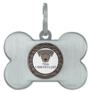 Pet Id name tag