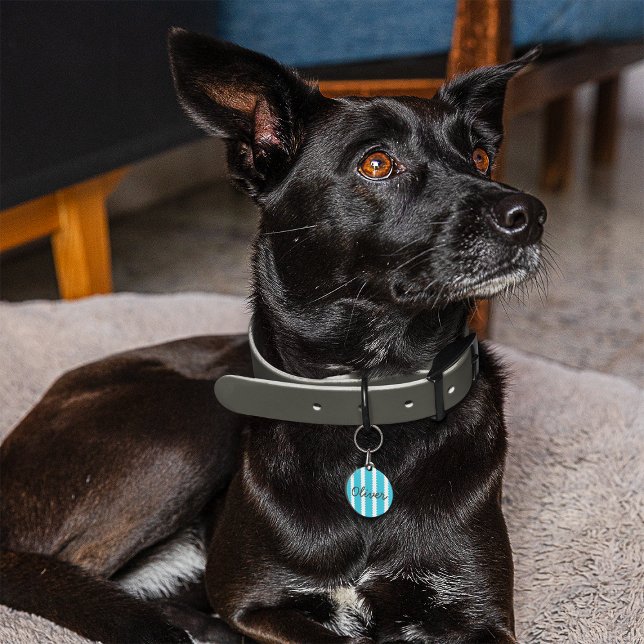 Pet ID Tag Full of Stripes (Creator Uploaded)