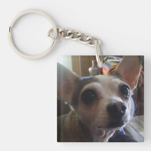 Pet Key Ring (Front)