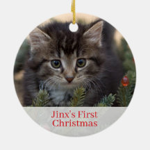 Pet Kittens First Christmas Photo Ornament