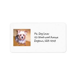Pet Label