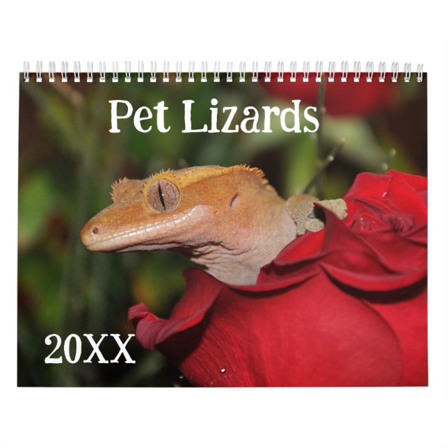 Pet Lizards Calendar (Cover)