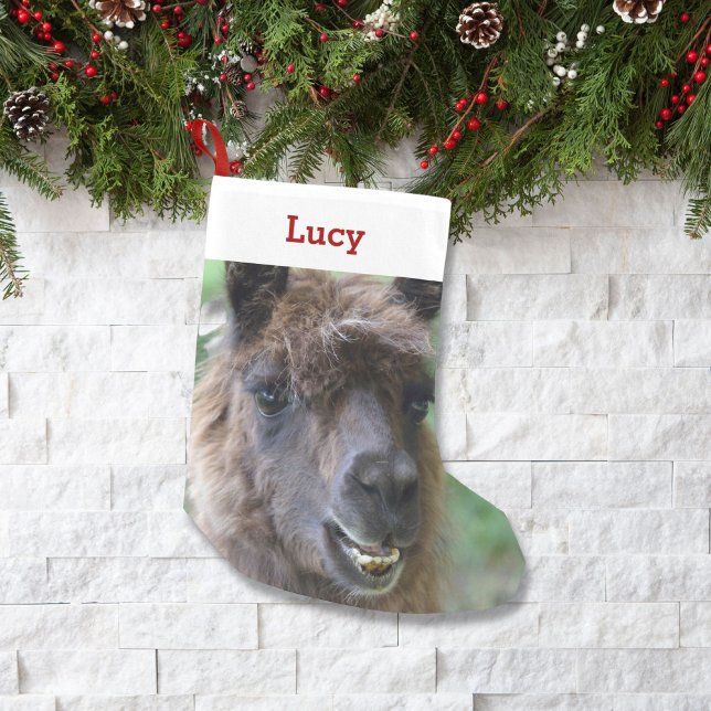 Pet Llama Lover Owner Photo & Name Personalised Small Christmas Stocking (Creator Uploaded)