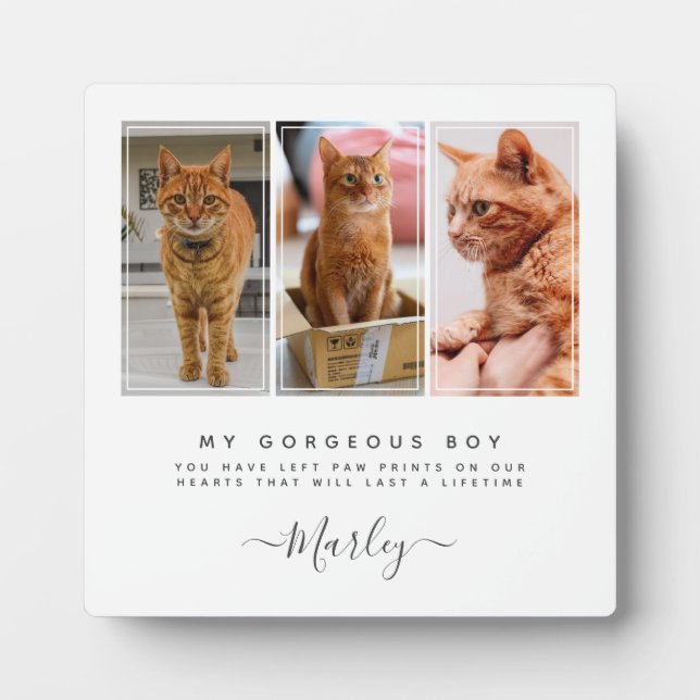  Pet Loss Gift for Dog & Cat, 3 Photo Pet Memorial Plaque (Front)