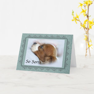 Pet Loss Memorial Card