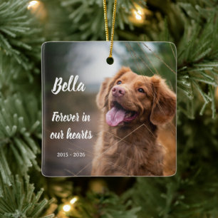 Pet loss memorial keepsake ceramic ornament