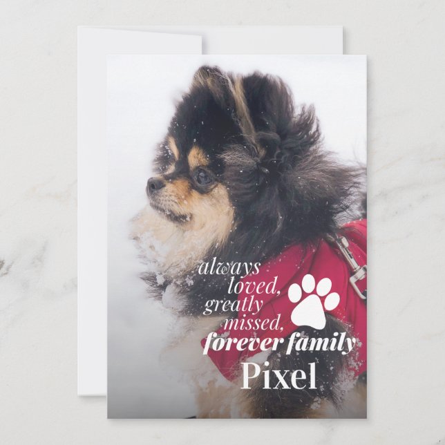 Pet Loss Memorial Sympathy Photo Card (Front)
