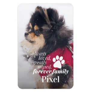 Pet Loss Memorial Sympathy Photo  Magnet