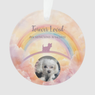 Pet Loss Ornament – Watercolor Heaven & Paw Prints