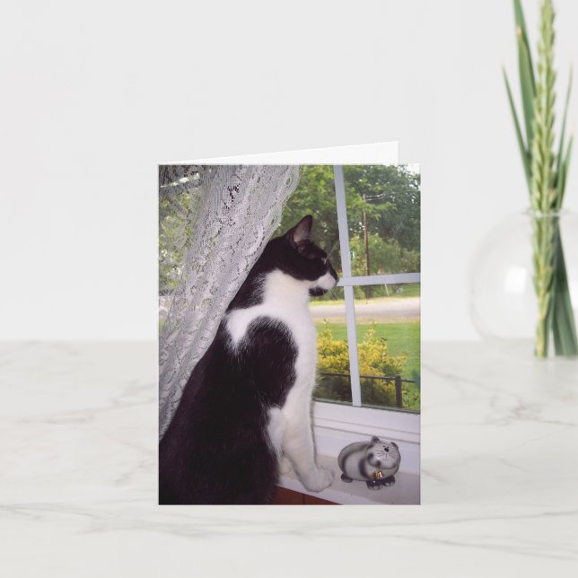 Pet Loss Sympathy Card for Cat (Front)