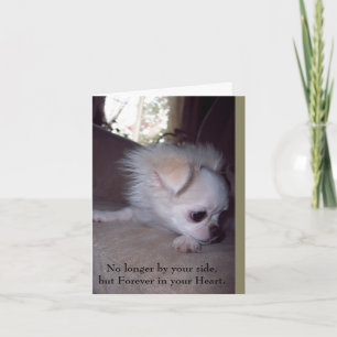 Pet Loss Sympathy Card for Dogs