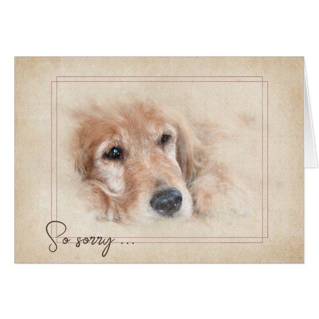 Pet Loss Sympathy Golden Retriever (Front Horizontal)