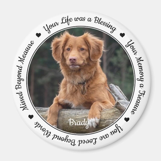 Pet Loss Sympathy Keepsake Pet Memorial Magnet (Front)
