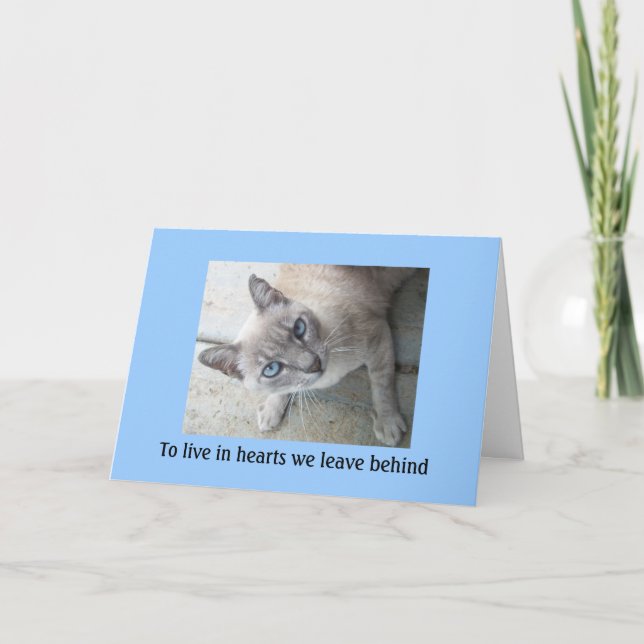 Pet Loss Sympathy: Loss of Cat Greeting Cards (Front)