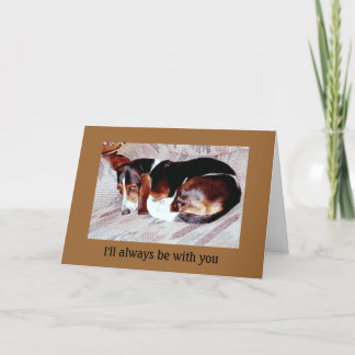 Pet Loss Sympathy: Loss of Dog Greeting Cards