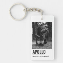 Pet Loss Sympathy Memorial Keepsake Symbol