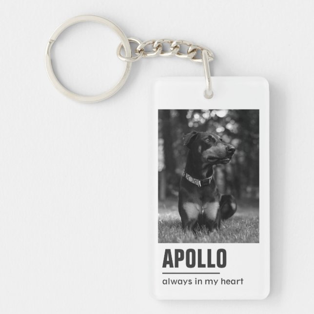 Pet Loss Sympathy Memorial Keepsake Symbol Key Ring (Front)