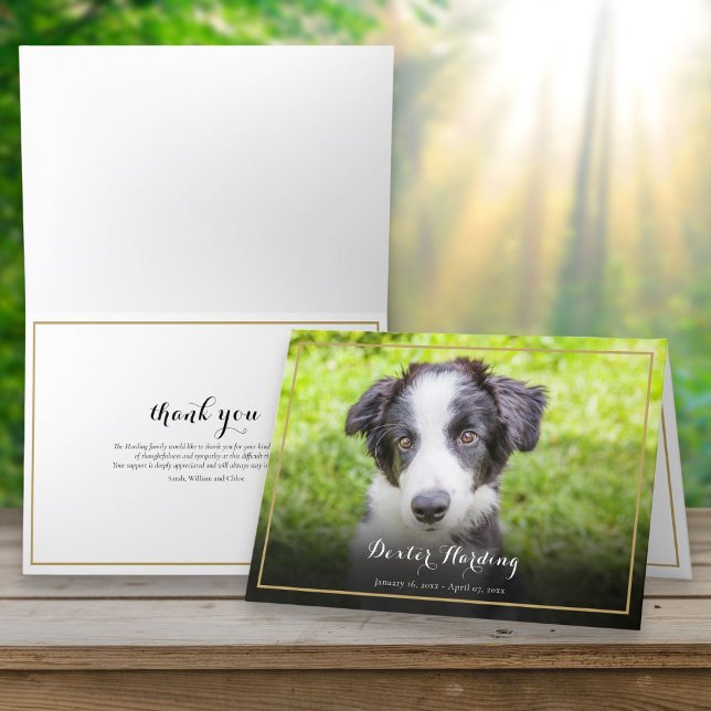 Pet Loss Sympathy Photo Elegant Gold Thank You Card (Pet Loss Sympathy Photo Elegant Gold Thank You Card)