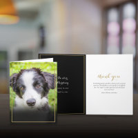 Pet Loss Sympathy Photo Gold Frame