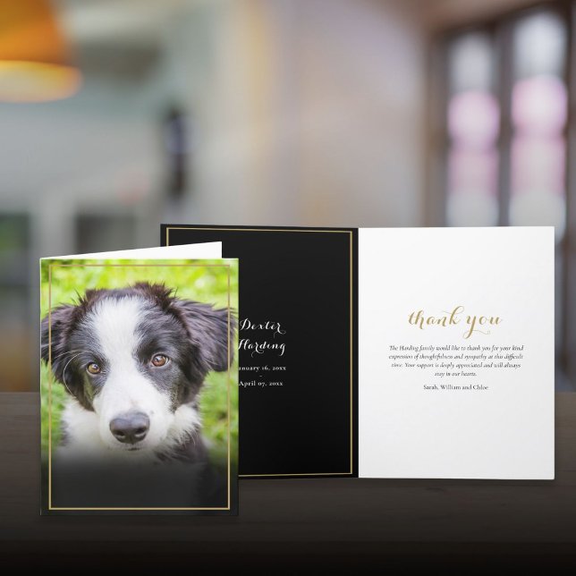 Pet Loss Sympathy Photo Gold Frame Thank You Card (Pet Loss Sympathy Photo Gold Frame Thank You Card)
