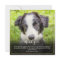 Pet Loss Sympathy Photo Square