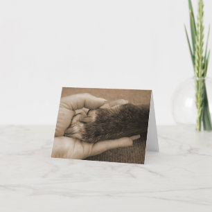 Pet Loss - Touch of an Angel Card