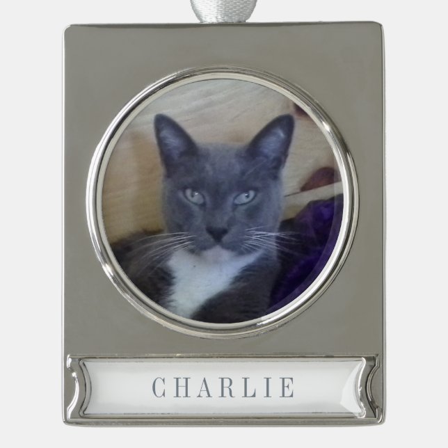 PET LOVE Banner Ornament / Silver (Front)