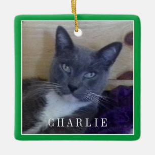 PET LOVE Ceramic Square Ornament / Green