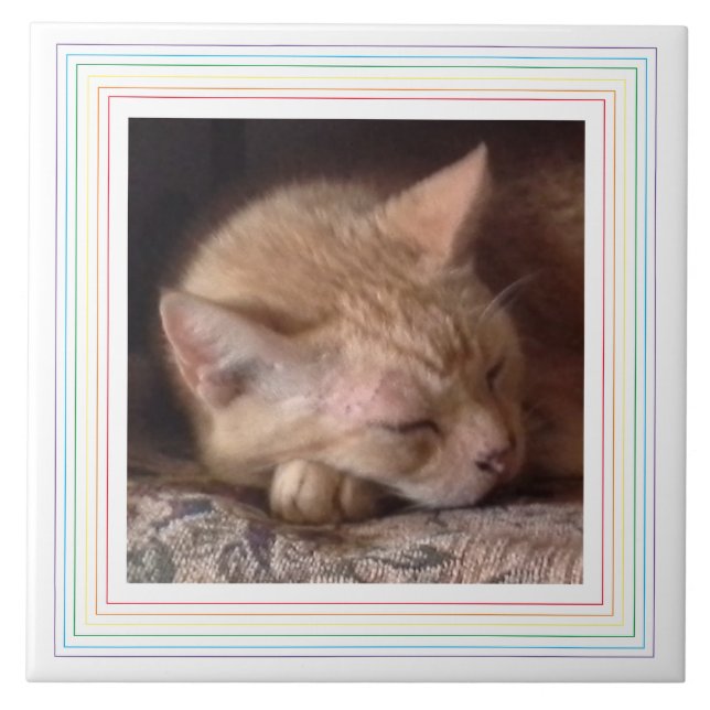 PET LOVE Ceramic Tile / Rainbow (Front)