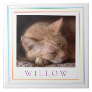 PET LOVE Ceramic Tile + Text / Rainbow