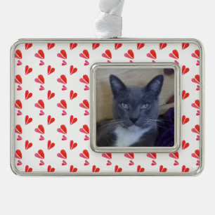 PET LOVE Framed Horizontal Ornament / Hearts