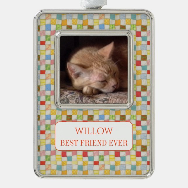 PET LOVE Framed Vert Ornament + Text / Quilt (Front)