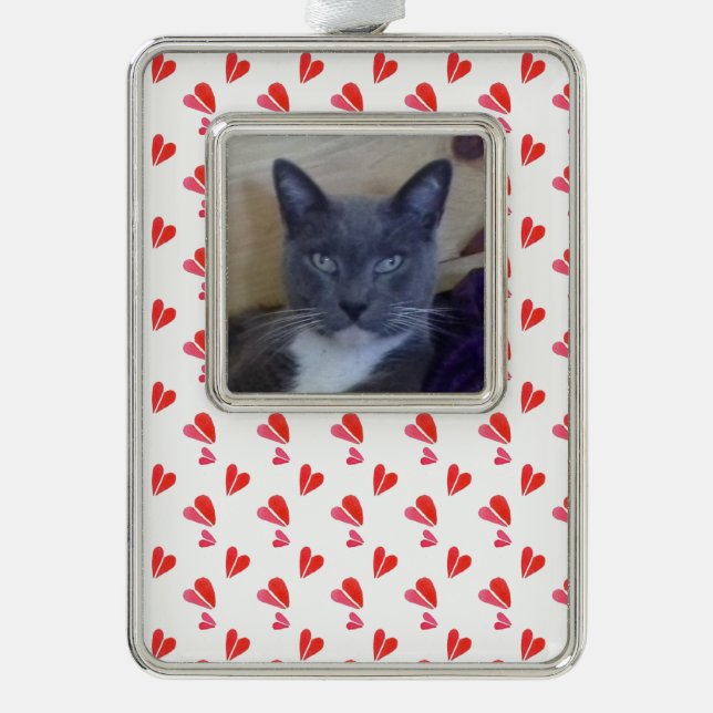 PET LOVE Framed Vertical Ornament / Hearts (Front)