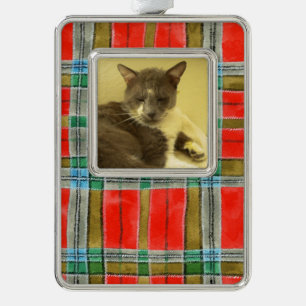 PET LOVE Framed Vertical Ornament / MacBain Plaid